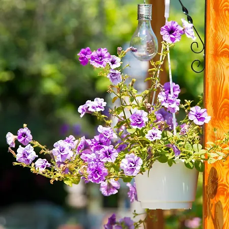 Apartament Kapsogeorgis Koinira