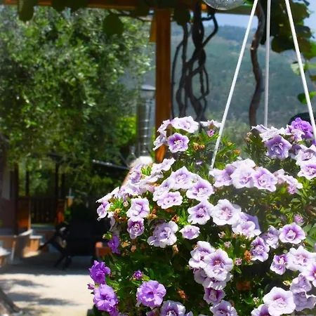 شقة Kapsogeorgis *