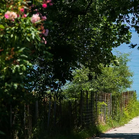 Kapsogeorgis Koinira