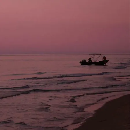 Kapsogeorgis 코이니라