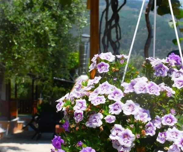 Apartment Kapsogeorgis *